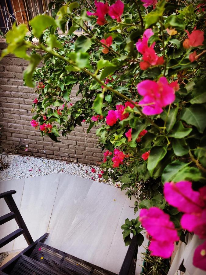 "Casa Amalia Apartamentos" Plaza Italia Y Av Aristides A 50Mts, Lugar Con Jardin Mendoza Dış mekan fotoğraf