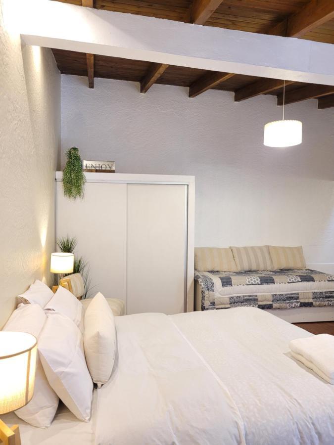 "Casa Amalia Apartamentos" Plaza Italia Y Av Aristides A 50Mts, Lugar Con Jardin Mendoza Dış mekan fotoğraf